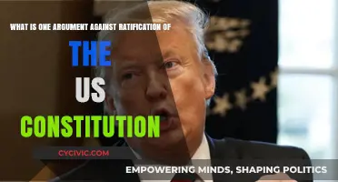 The Great Debate: US Constitution Ratification's Flaw