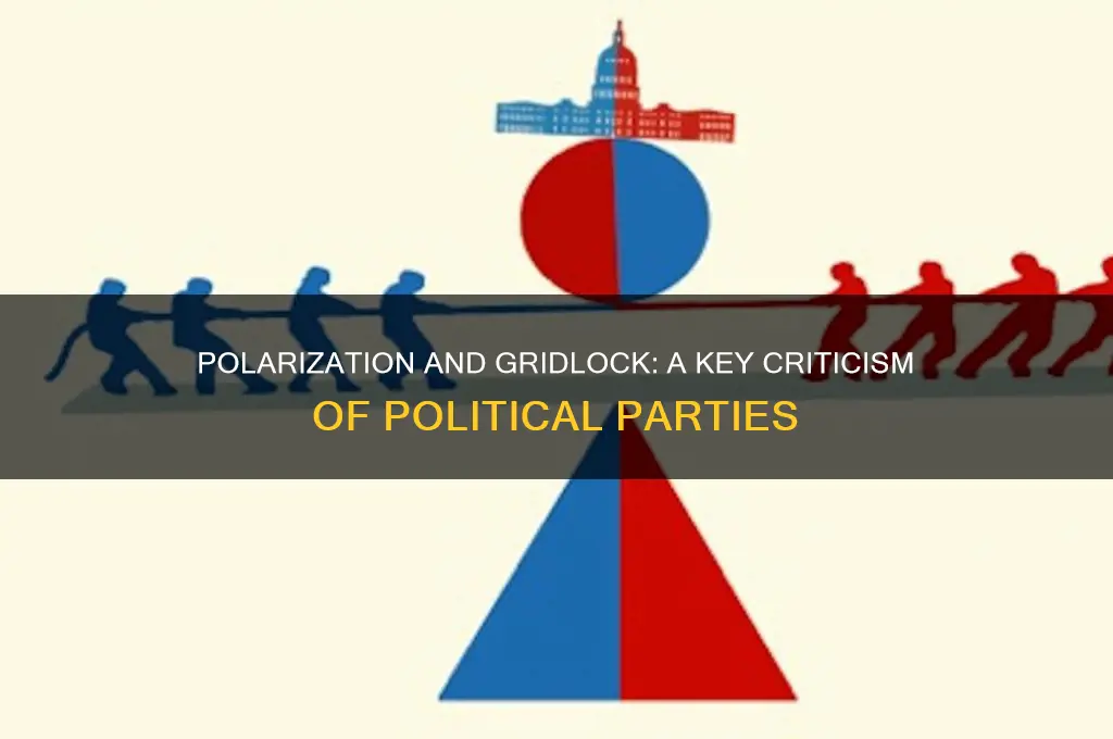 what is one criticism of political parties
