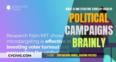 Effective Political Campaign Strategies: Persuasion Techniques