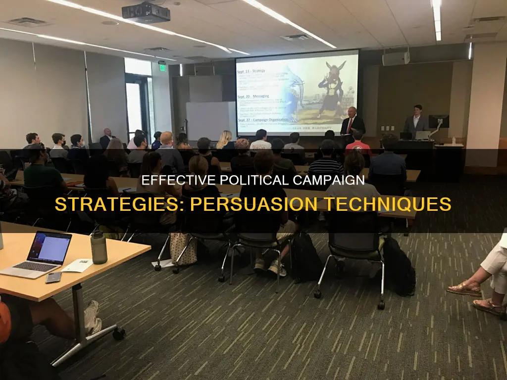 what is one effective strategy used by political campaigns brainly