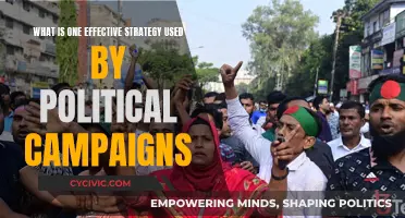 Effective Political Campaigning: Strategies for Success