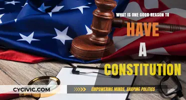 A Constitution: Foundation for a Fair and Just Society