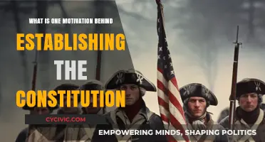 Founding Fathers' Motivation Behind the Constitution