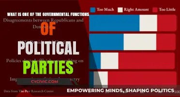 How Political Parties Shape Government Policies and Public Decisions