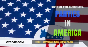 Understanding the Democratic Party: A Major Political Force in America