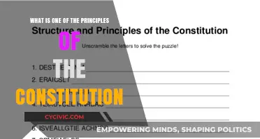 The Constitution's Core Principle: Separation of Powers