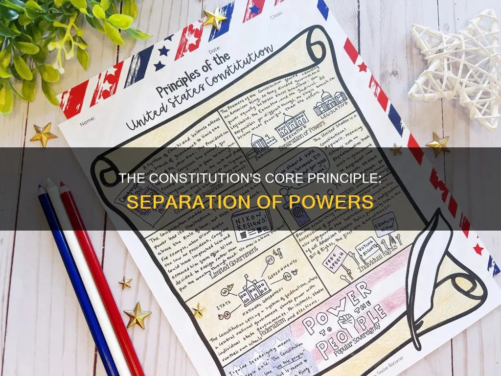 what is one of the principles of the constitution