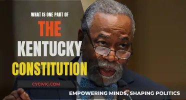 Understanding Kentucky's Constitution: A Single, Powerful Provision Explored
