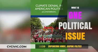 Understanding Climate Change: A Pressing Political Issue of Our Time