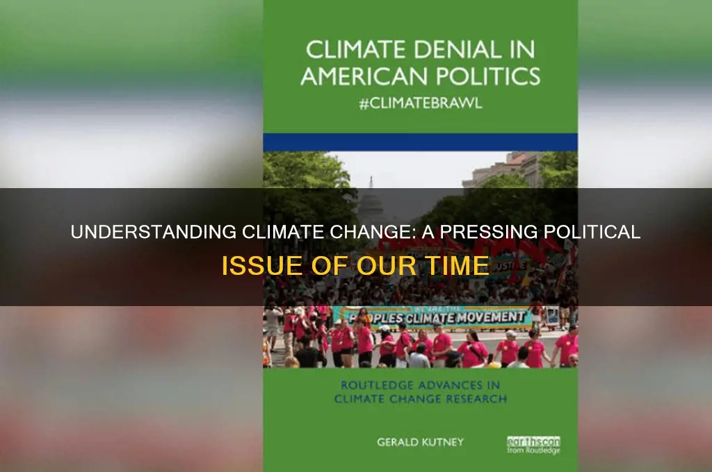 what is one political issue