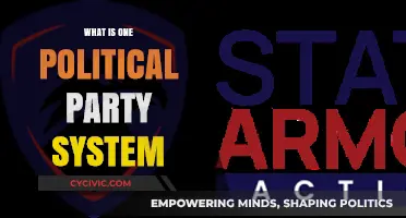 Understanding the One-Party System: Structure, Function, and Global Examples