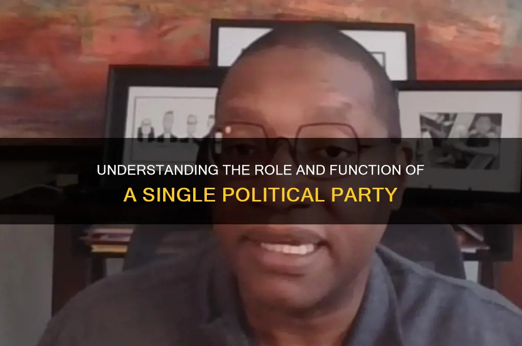 what is one political party