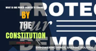 Congress's Constitutional Power: What's Granted?