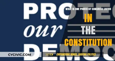 The Power of Congress: Understanding the Constitution