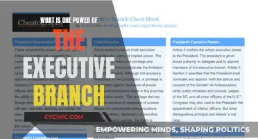 The Executive Branch's Power: A Unilateral Force