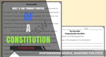 Understanding the Constitution's Core Purpose