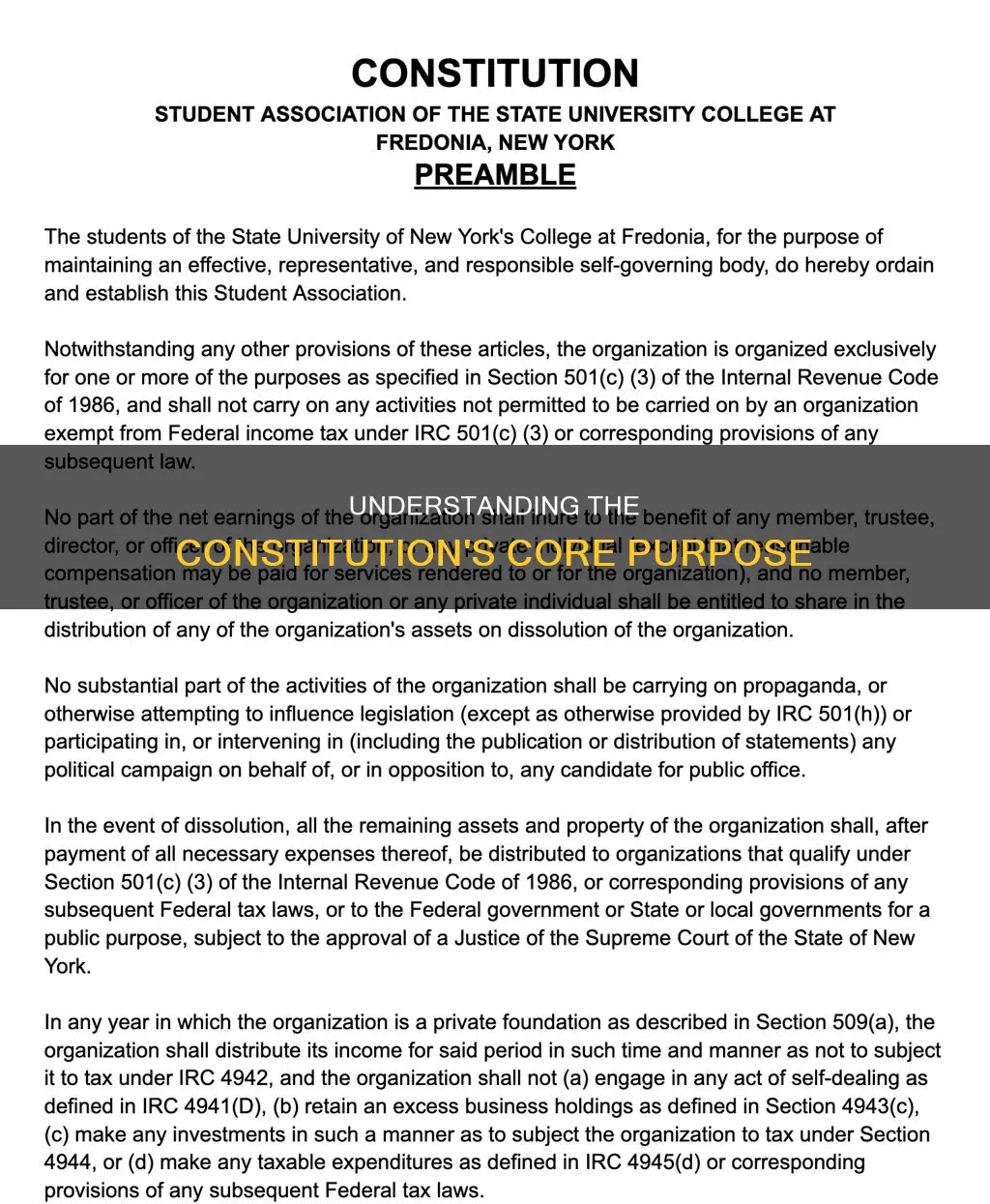 what is one primary purpose of a constitution