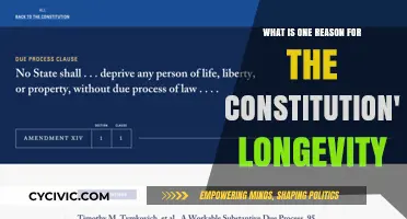 The Constitution's Longevity: A Foundation of Flexibility