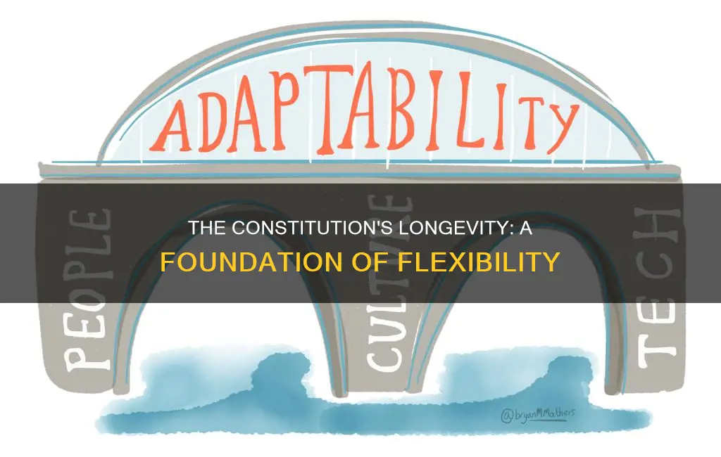 what is one reason for the constitution