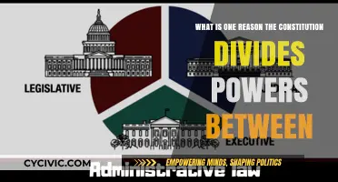 Divided Powers: The Constitution's Check and Balance