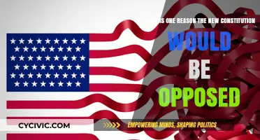 Why the New Constitution Faces Opposition