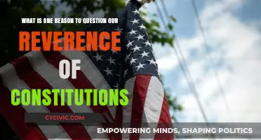 Why Constitutions Should Be Questioned