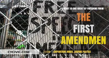 Understanding the First Amendment: Freedom of Speech