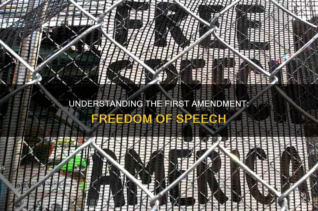what is one right of freedom from the first amendment