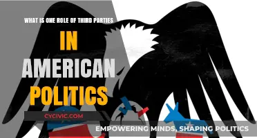 Third Parties in American Politics: Shaping Elections Beyond the Two-Party System