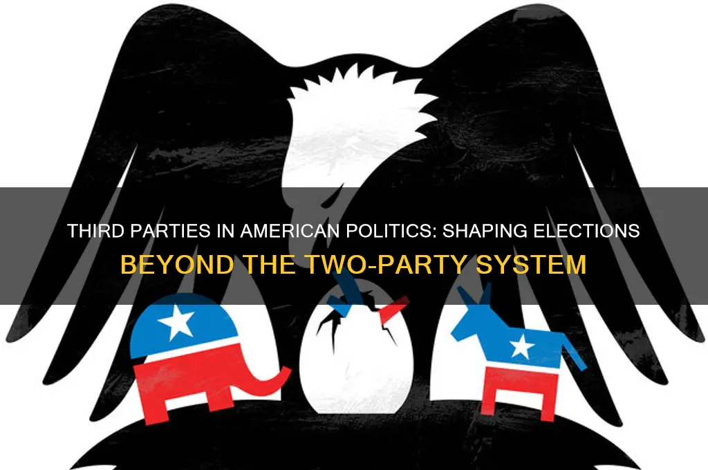 what is one role of third parties in american politics