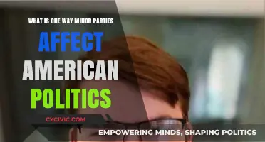 Minor Parties' Major Impact: Shaping American Politics Through Influence