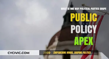 How Political Parties Influence Public Policy: A Comprehensive Overview