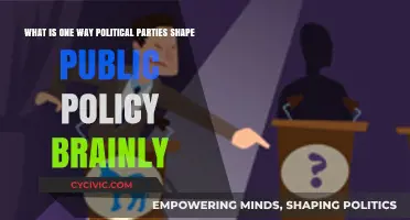 How Political Parties Influence and Shape Public Policy Decisions