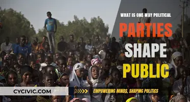 How Political Parties Influence Public Opinion and Policy Direction