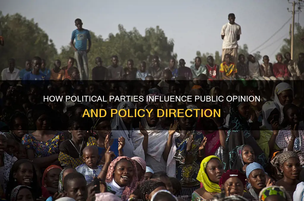 what is one way political parties shape public
