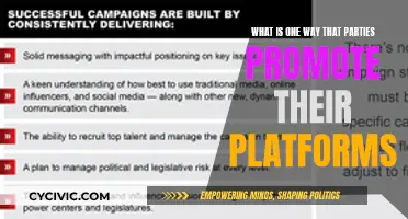 How Parties Promote: Strategies for Platform Promotion