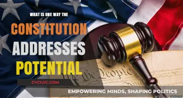 The Constitution: A Framework for Unlocking Potential