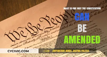 Amending the Constitution: A Single Pathway to Change