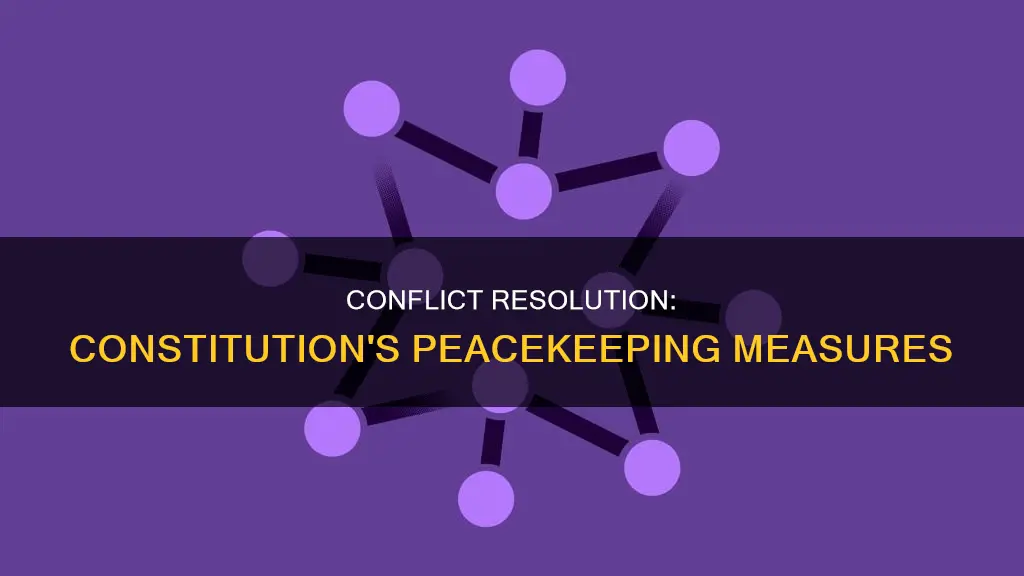 what is one way the constitution tries to prevent conflicts