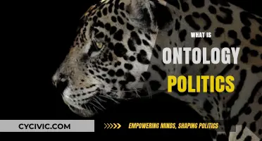 Understanding Ontology Politics: Power, Knowledge, and Social Reality Explained