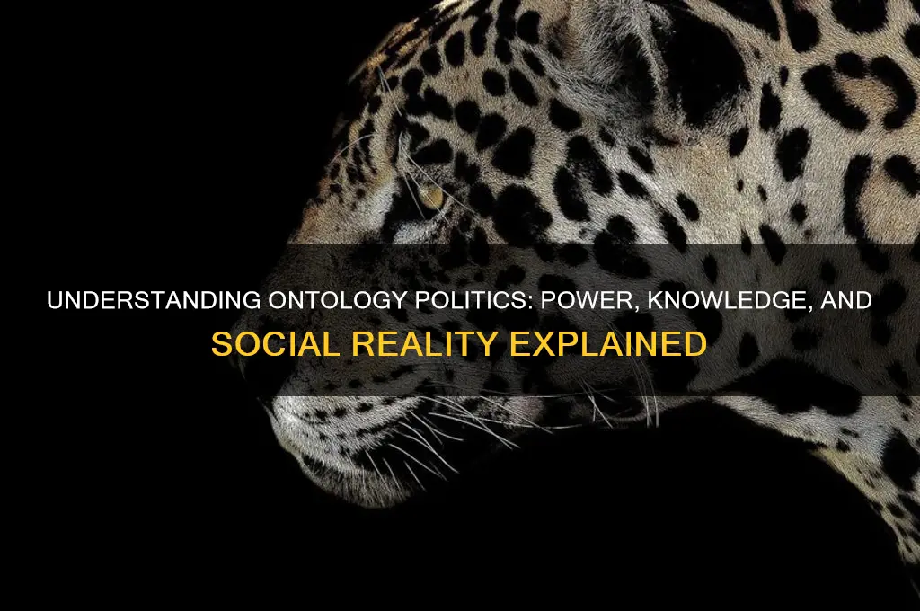 what is ontology politics