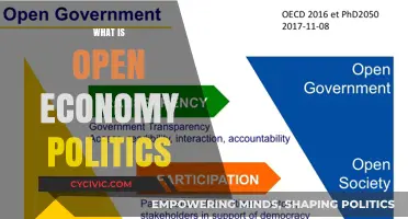 Understanding Open Economy Politics: Global Trade, Policy, and Interdependence