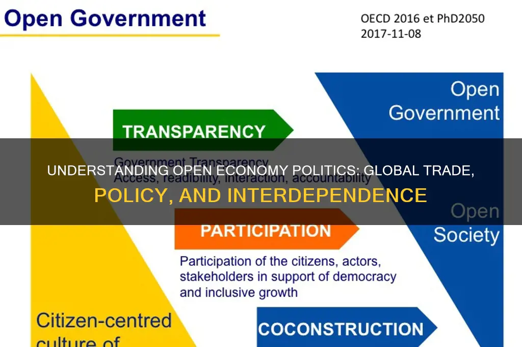 what is open economy politics