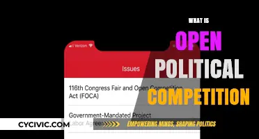 Understanding Open Political Competition: Principles, Benefits, and Global Impact