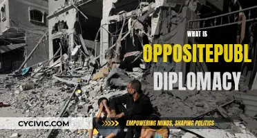 Public Diplomacy's Opposite: Exploring Hidden Influence Tactics