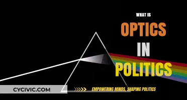 Understanding Optics in Politics: Perception, Strategy, and Public Influence