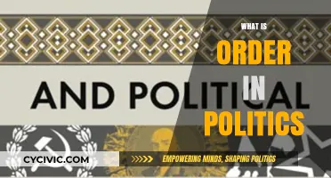 Understanding Political Order: Structures, Stability, and Governance Explained