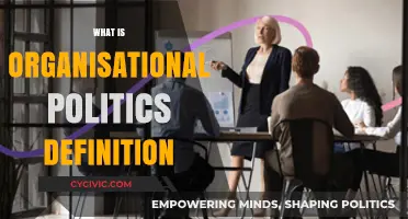 Understanding Organisational Politics: Definition, Impact, and Strategies for Success