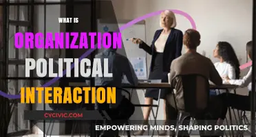 Understanding Organizational Political Interaction: Dynamics, Strategies, and Impact