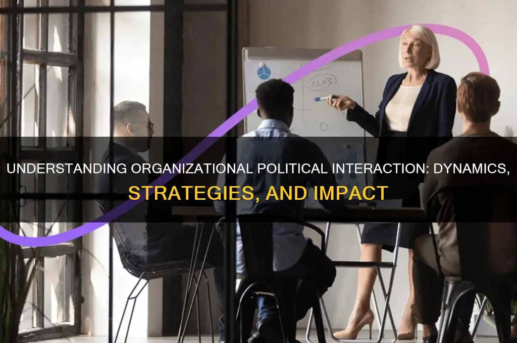 what is organization political interaction